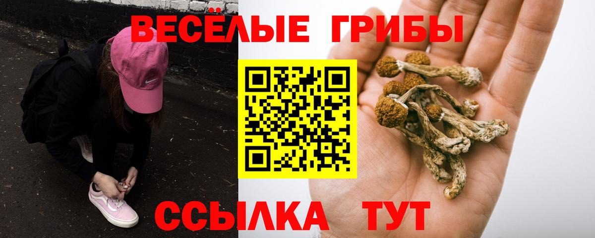 Псилоцибиновые грибы GOLDEN TEACHER Дзержинский