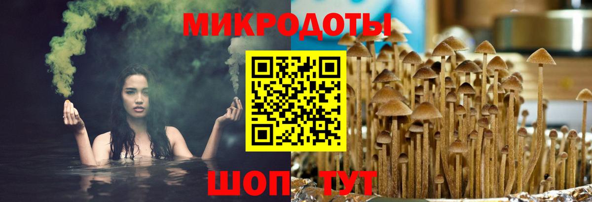 Псилоцибиновые грибы MAGIC MUSHROOMS  Галлюциногенные грибы GOLDEN TEACHER  Вход с VPN  Дзержинский 